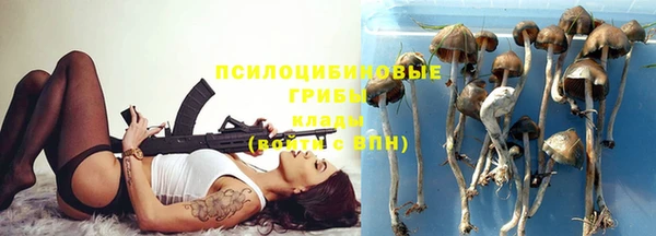 амф Михайловка